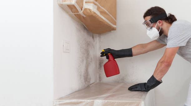 Professional Mold Removal technician working in Emerson, NJ