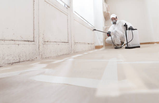 24/7 Emergency Mold Removal experts in Emerson, NJ