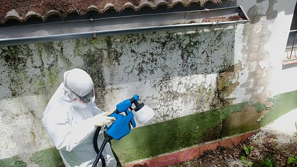 Top rated local Mold Removal specialists in Emerson, NJ